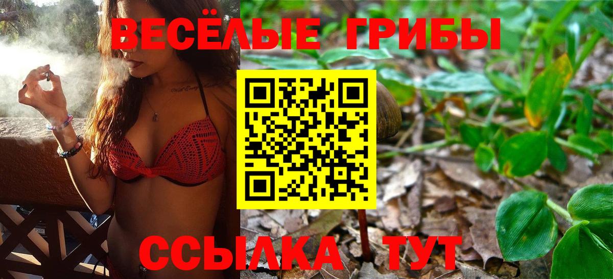 Галлюциногенные грибы GOLDEN TEACHER Назрань