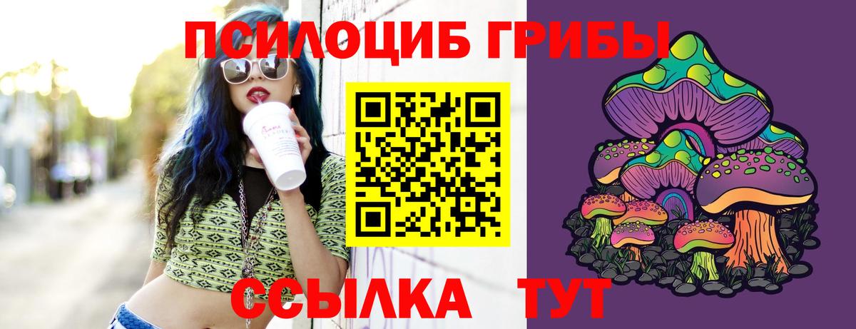 Галлюциногенные грибы мухоморы  Вход с VPN  Назрань 